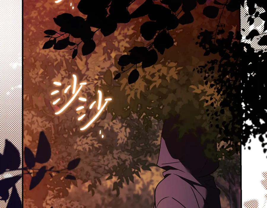 第238页