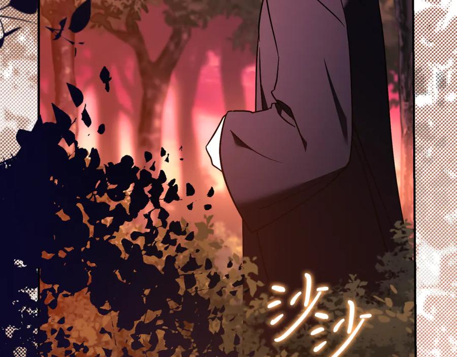 第239页