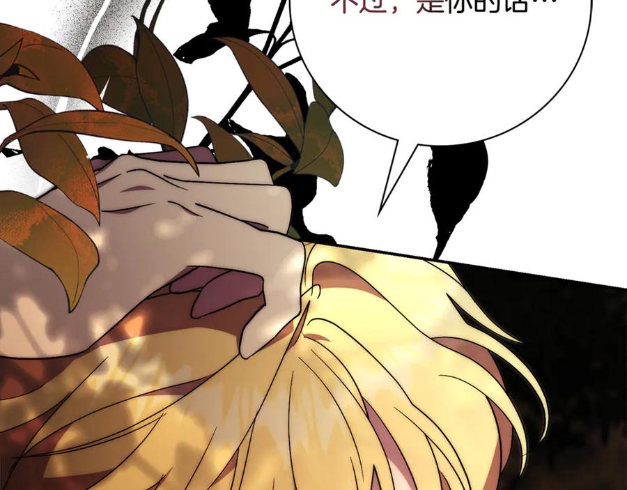 第244页