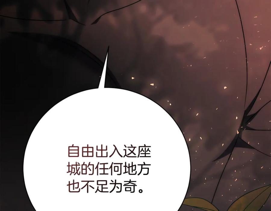 第246页