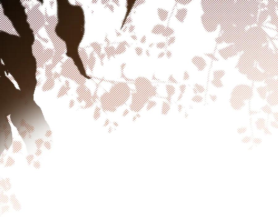 第250页
