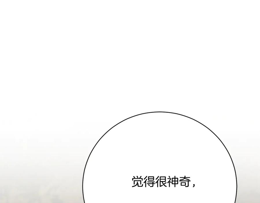 第259页