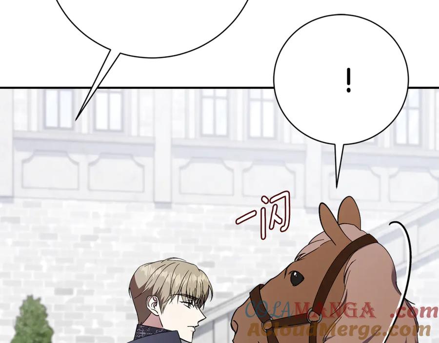 第217页