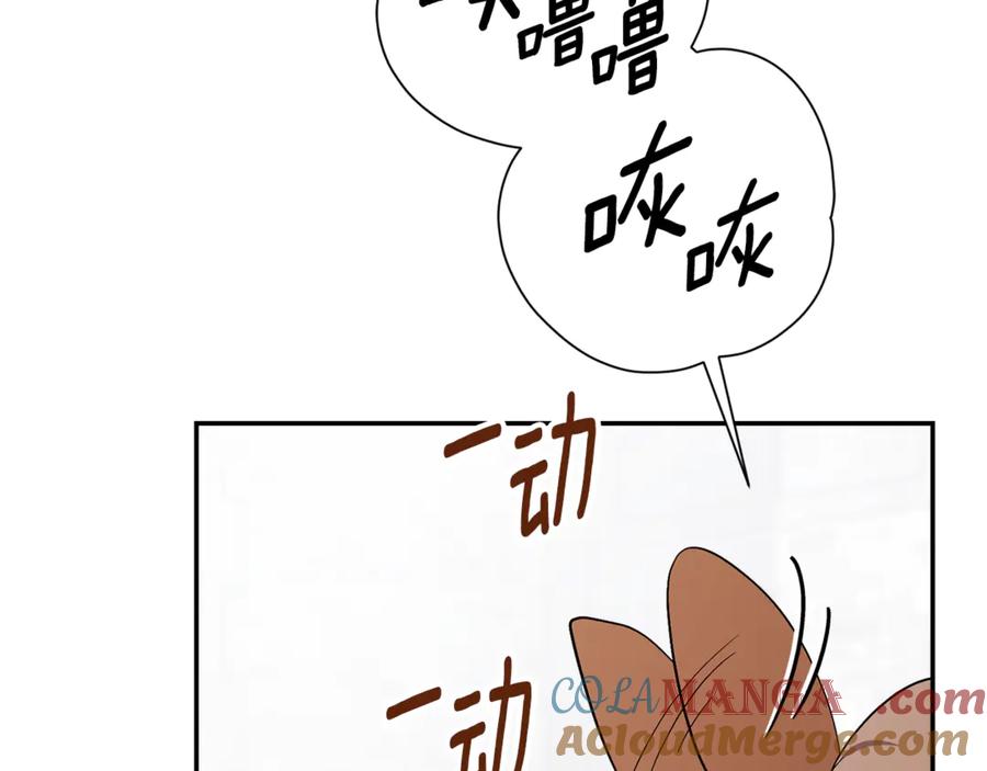 第221页