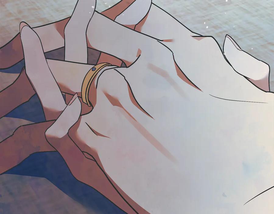 第223页