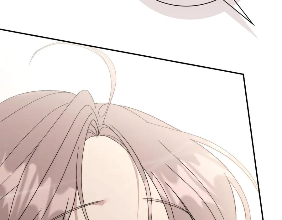 第238页