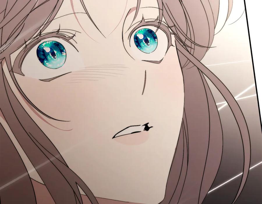 第239页