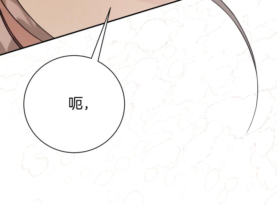 第244页