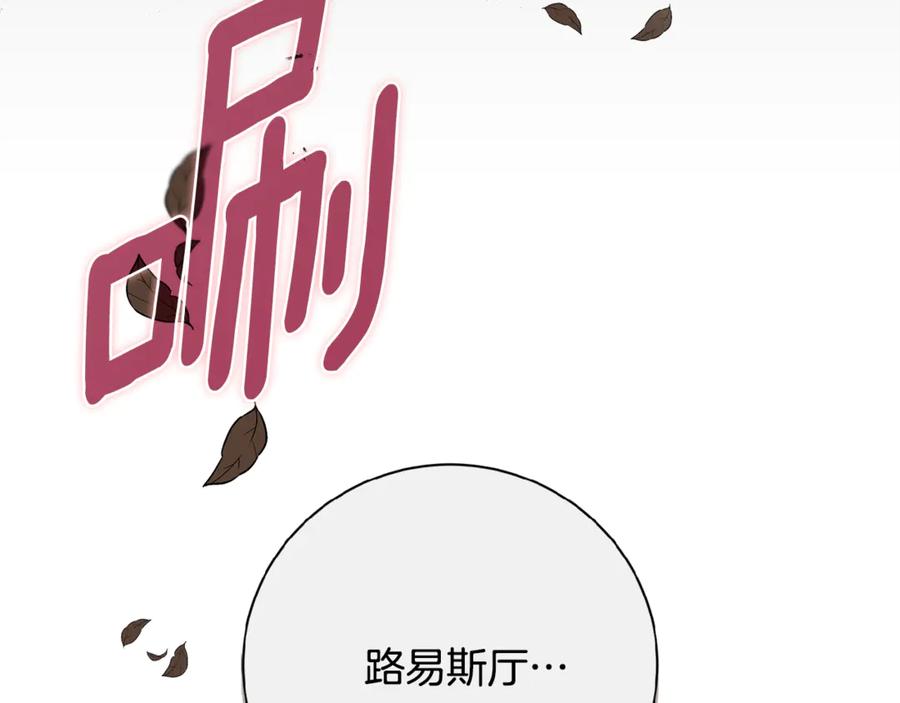 第244页