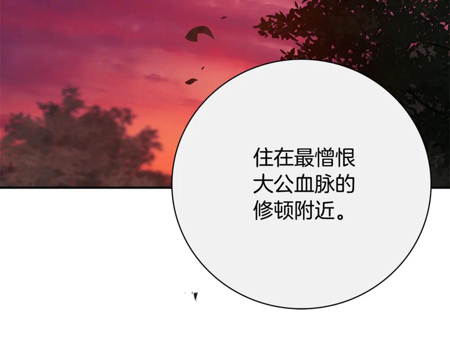 第247页