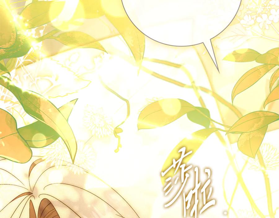 第239页