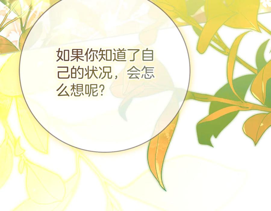 第242页