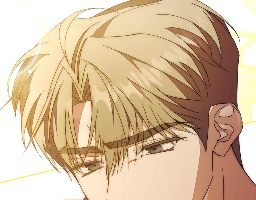 第244页
