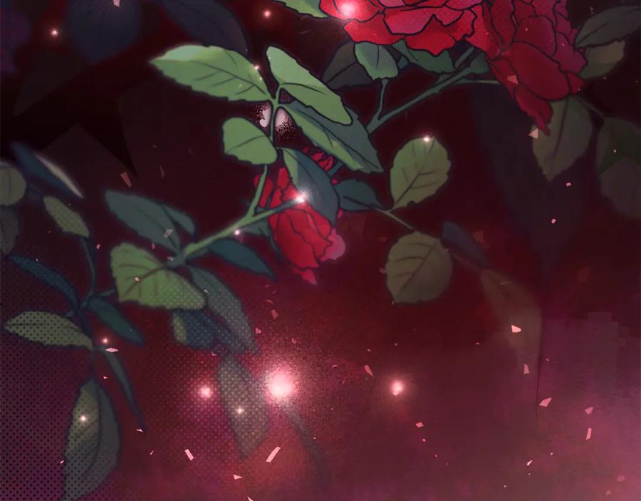第228页