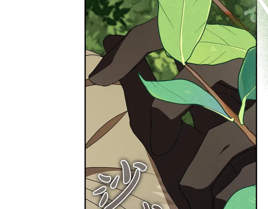 第247页