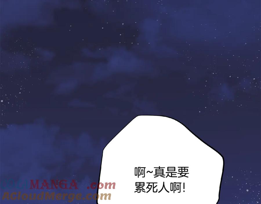 第197页