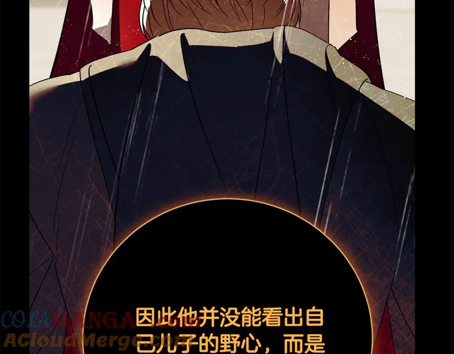 第213页
