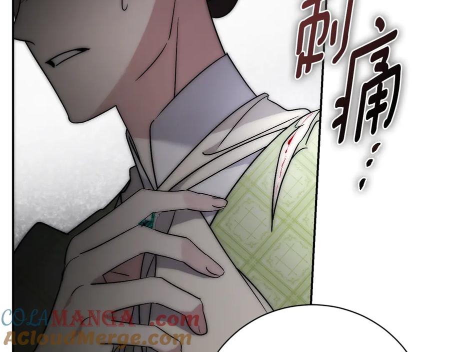 第213页