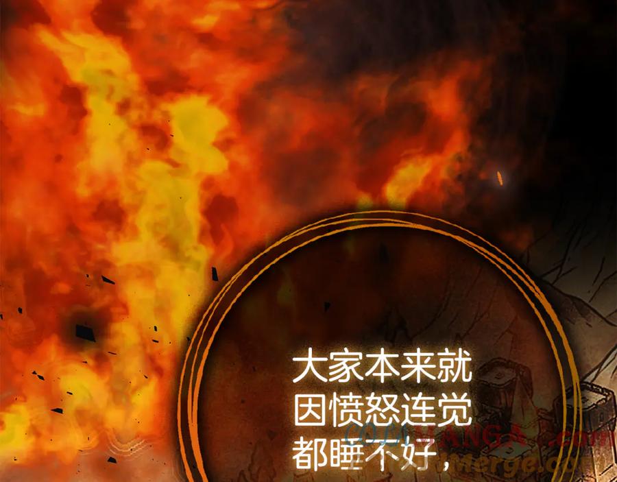 第233页