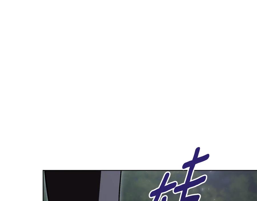 第243页