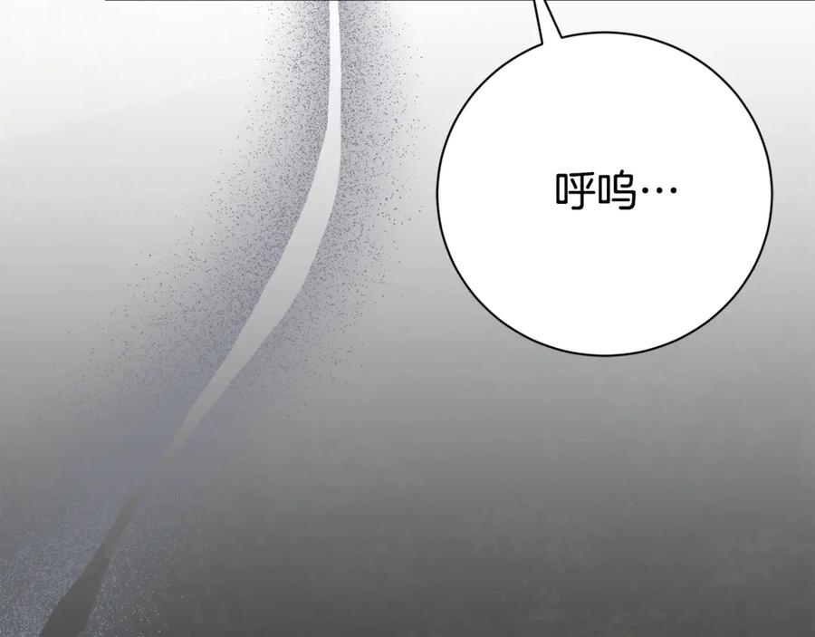 第251页