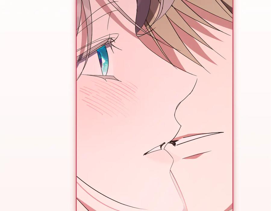 第244页