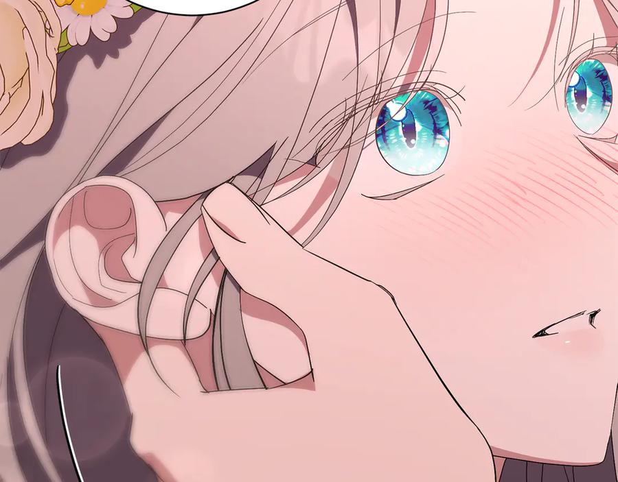 第247页