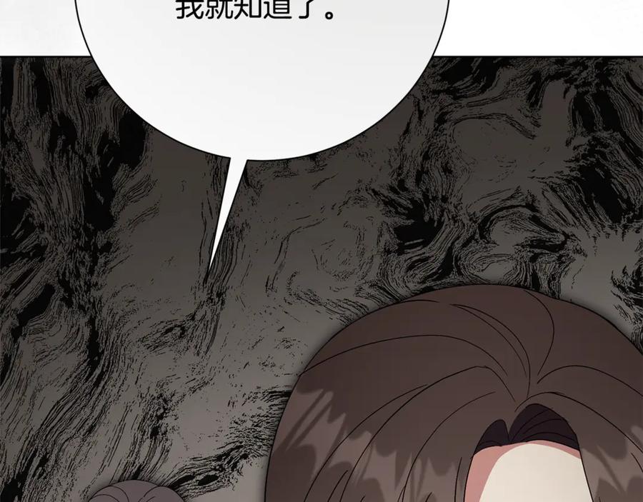 第247页