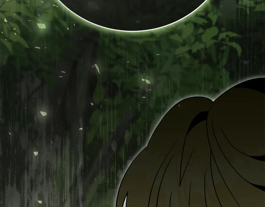 第258页
