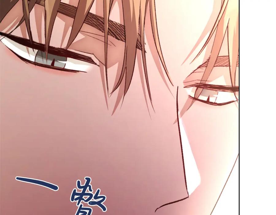 第258页