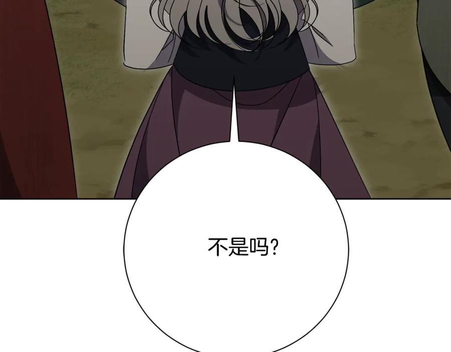 第223页
