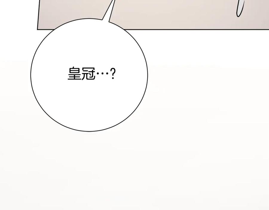 第215页
