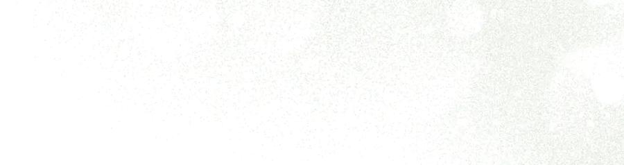 第239页