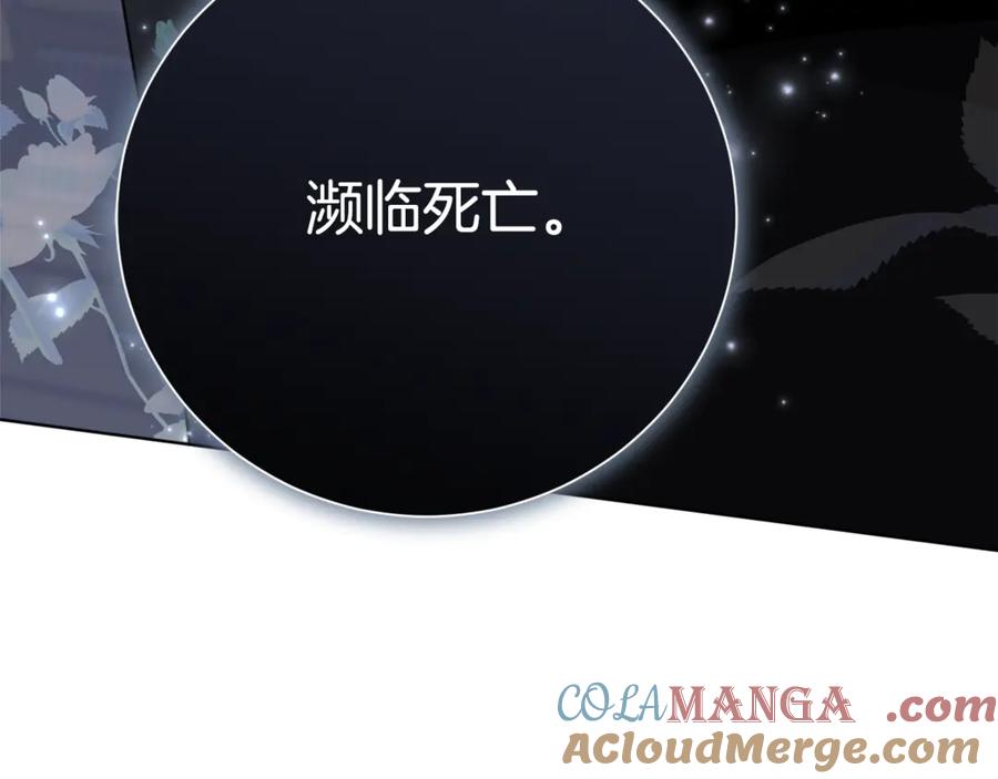 第217页