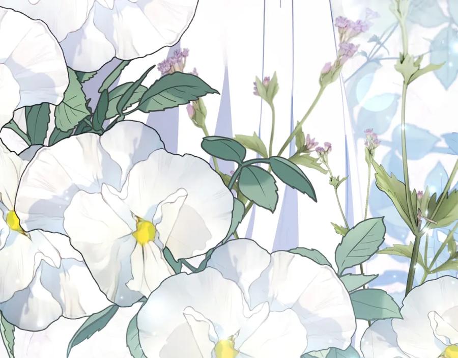 第247页