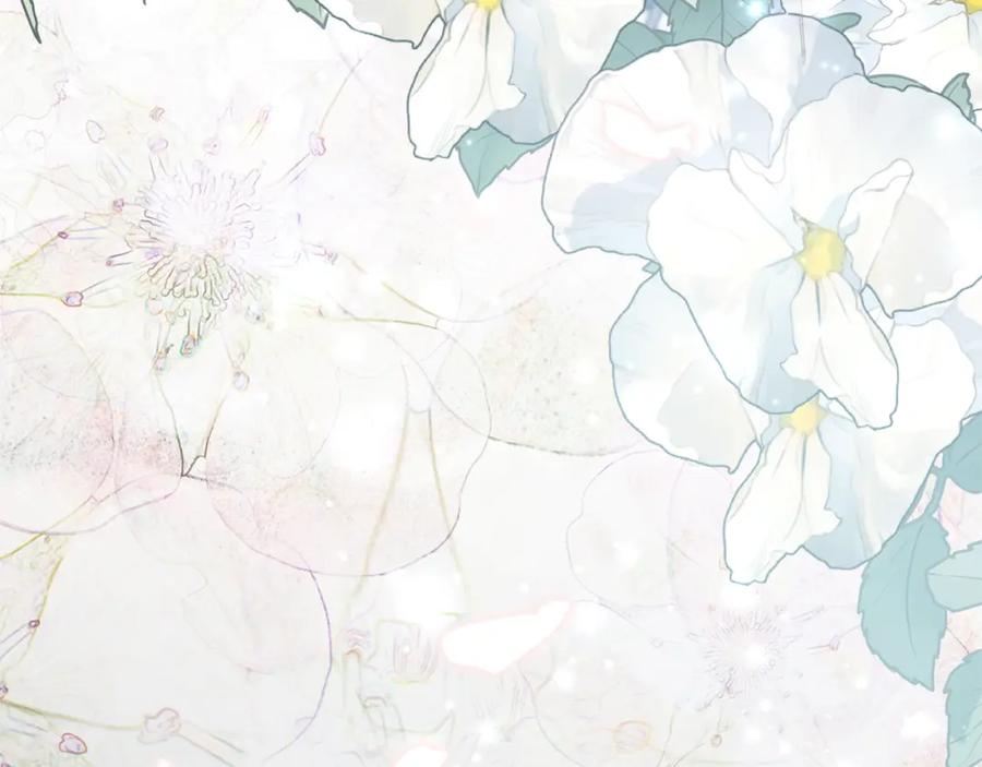 第248页