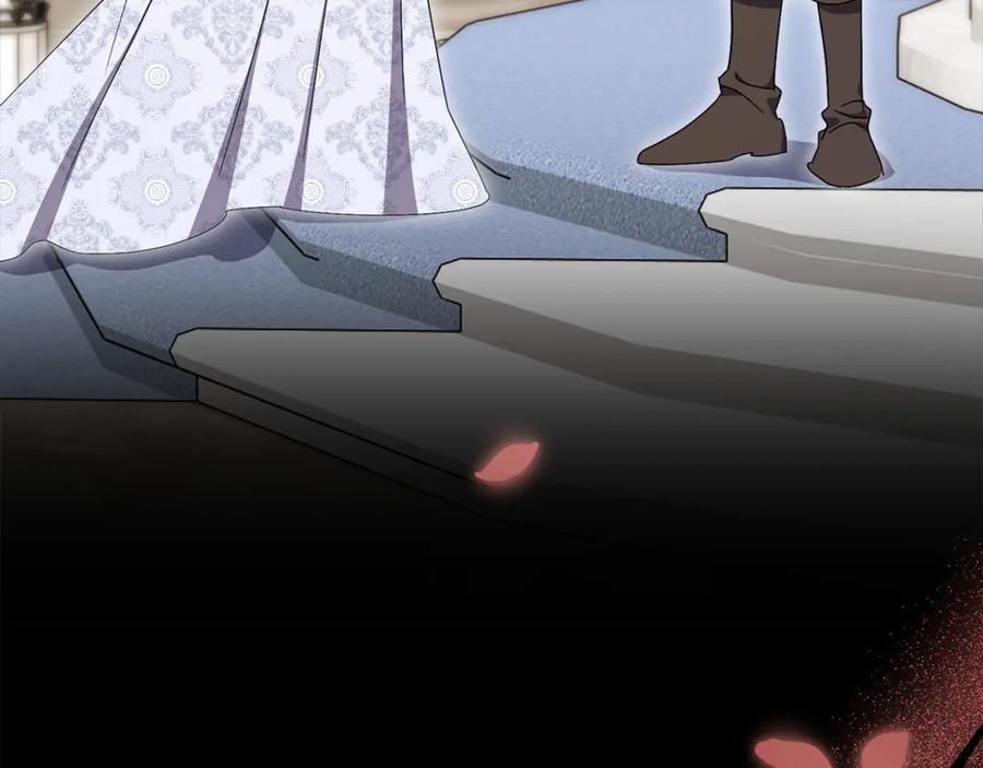 第223页