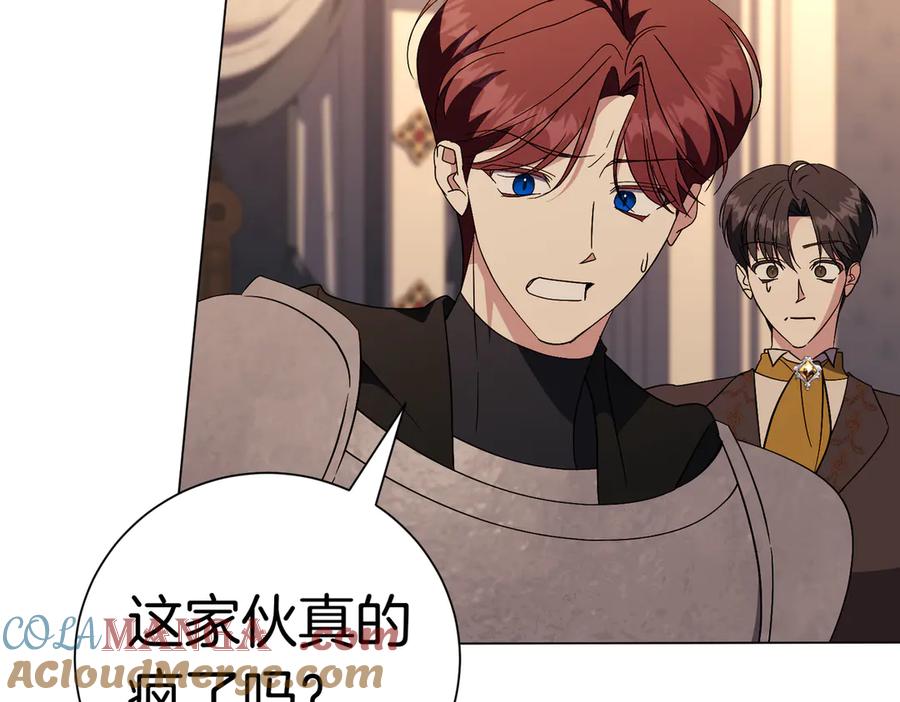 第205页