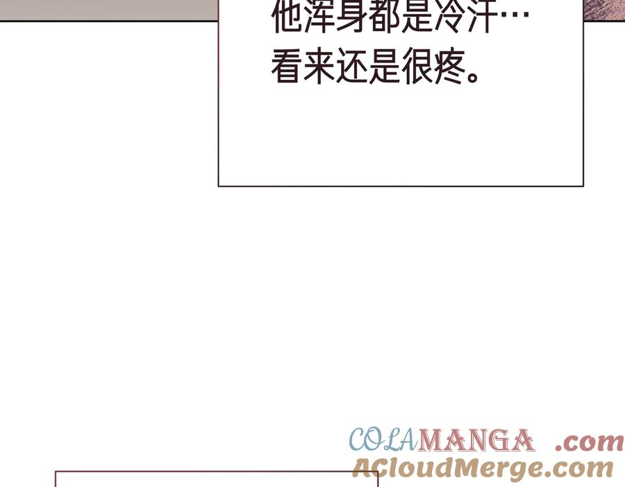 第185页