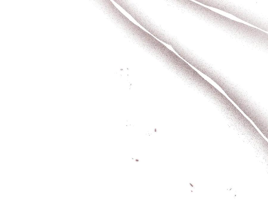 第212页