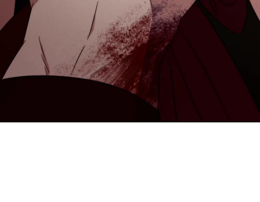 第224页