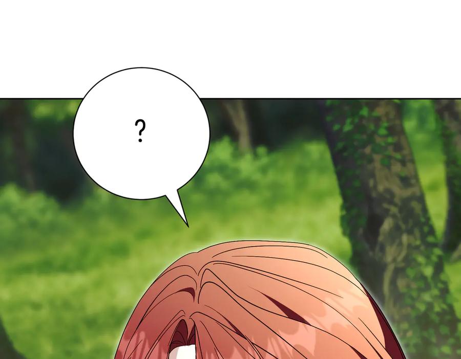 第238页