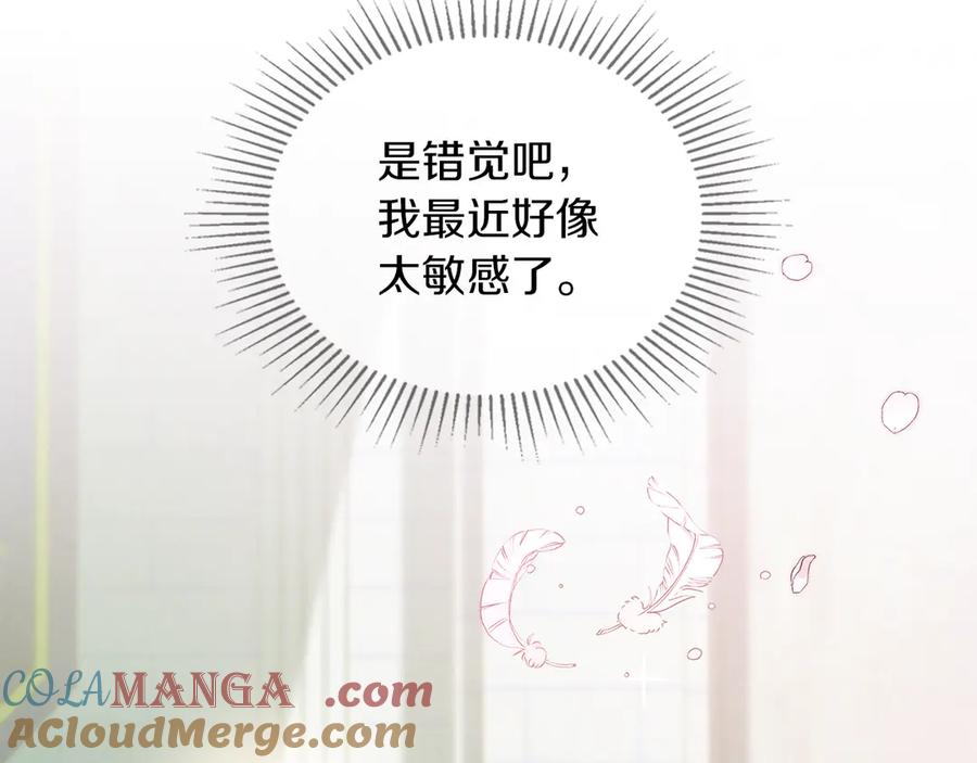 第205页