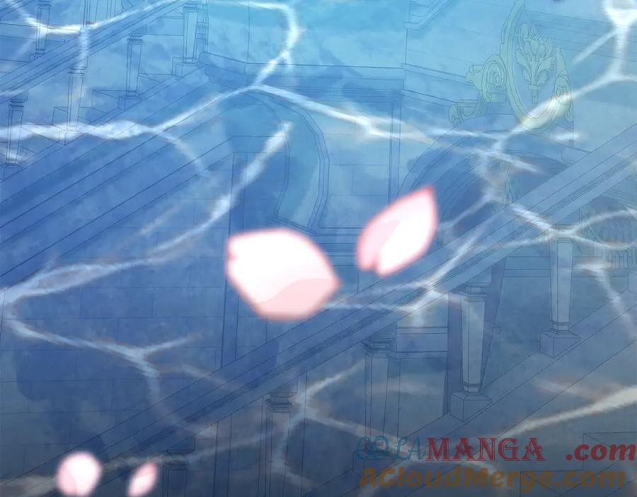 第217页