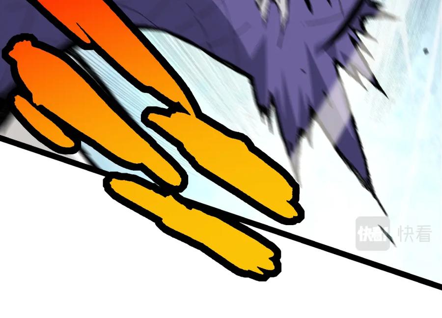 第224页