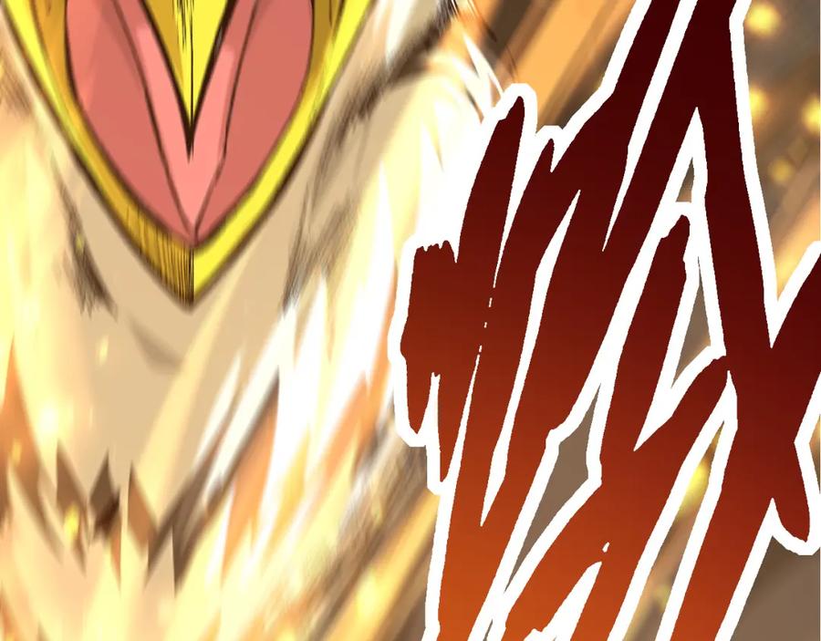 第243页