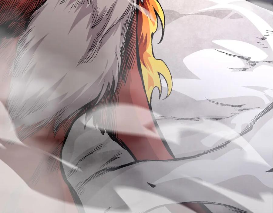 第194页