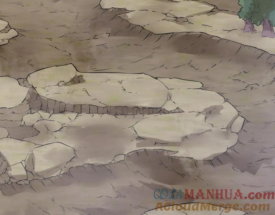 第205页
