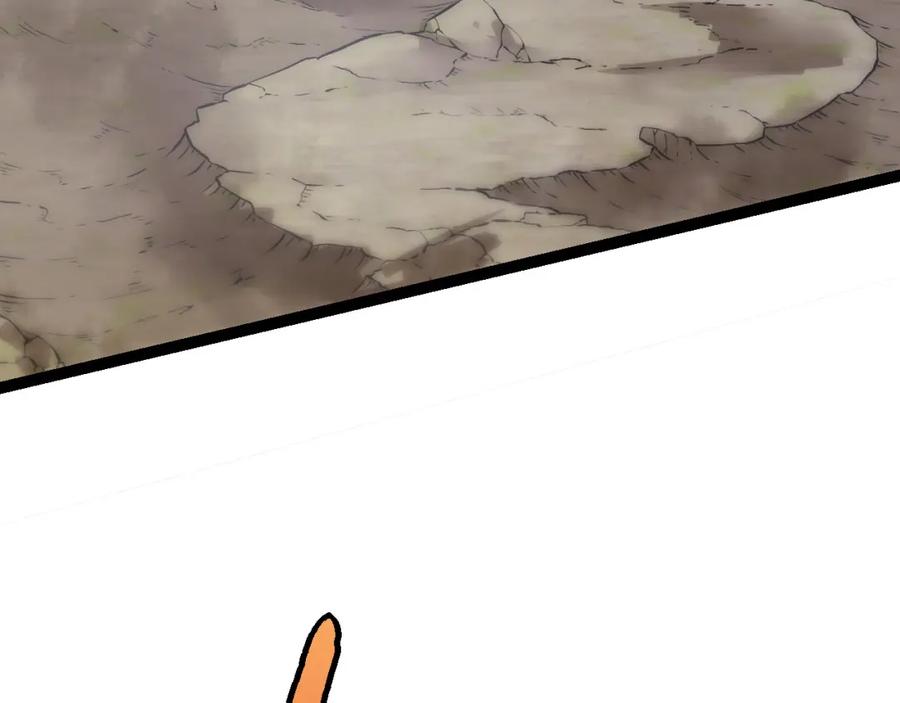 第206页