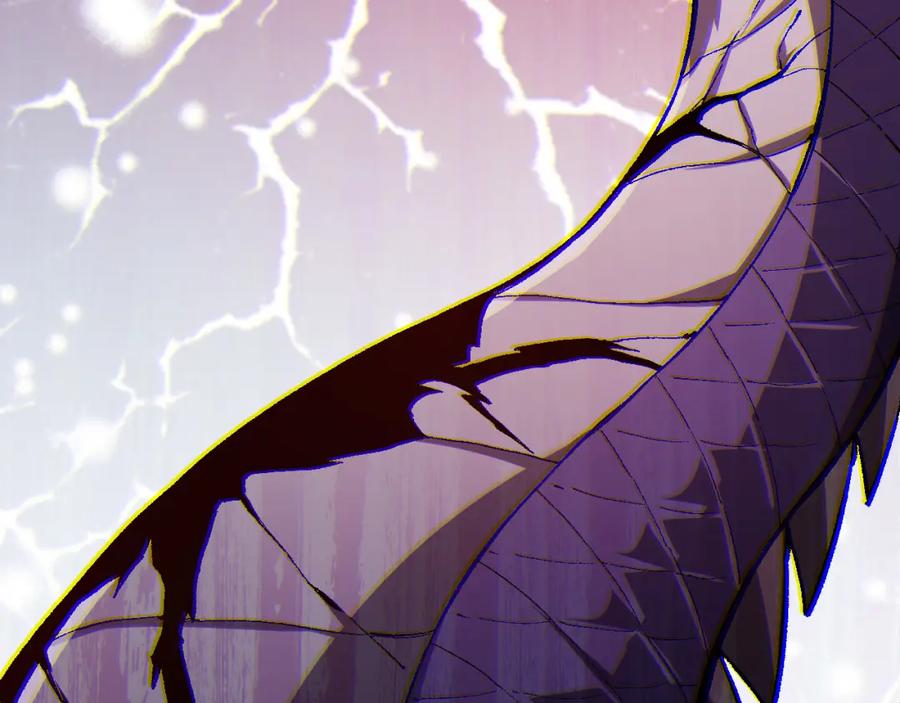 第223页